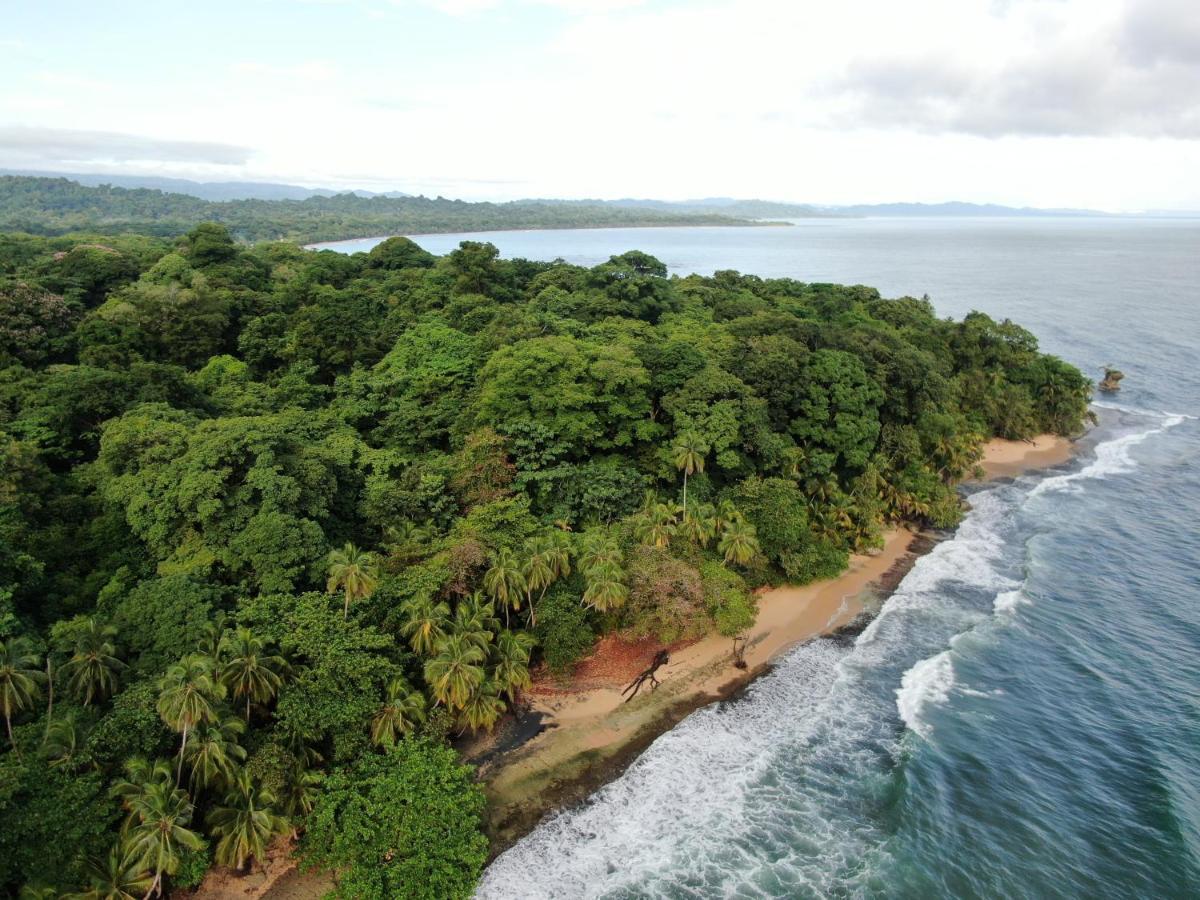 Corcovado Adventures Vandrerhjem Drakes Bay Eksteriør bilde