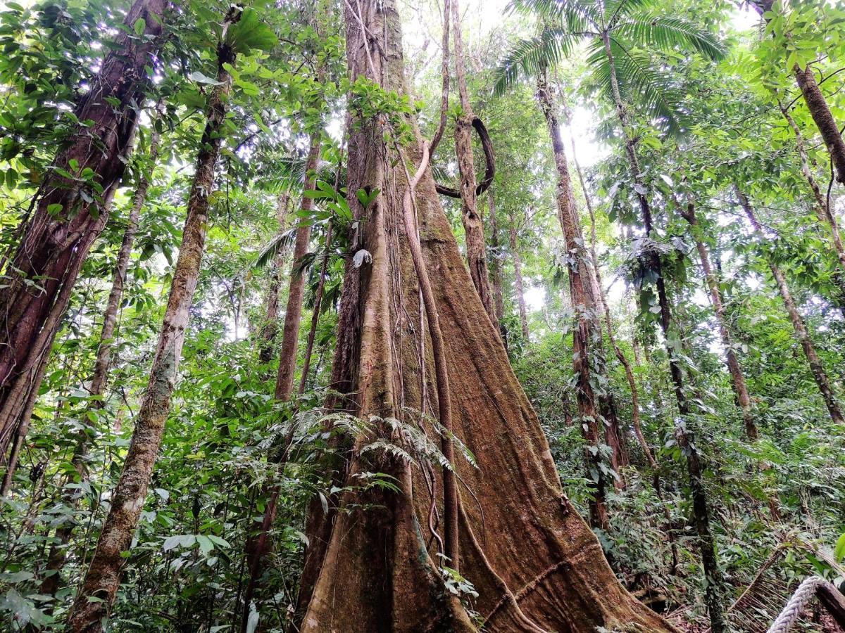 Corcovado Adventures Vandrerhjem Drakes Bay Eksteriør bilde