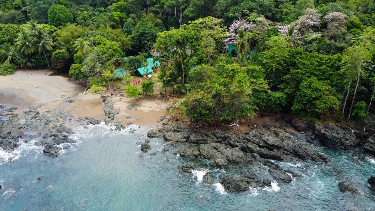 Corcovado Adventures Vandrerhjem Drakes Bay Eksteriør bilde